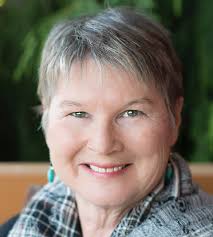 A Dangerous Descent: A Sarah McKinney Mystery (Sarah McKinney mysteries):  Exall, Marian: 9781511723602: Amazon.com: Books