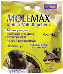 Is vole poison worth it or should you look for alternative methods of getting rid of voles? Amazon Com Bonide Bnd692150 Molemax Mole Vole Burrowing Animal Repellent Rodent Repellent Granules 10 Lb Home Pest Repellents Garden Outdoor
