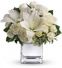 We did not find results for: 7 Christmas Arrangements Ideas Christmas Arrangements Christmas Flowers Flower Arrangements