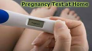 Pregnancy Test At Home In Hindi Ghar Par Kare Garbhavastha Ki Janch