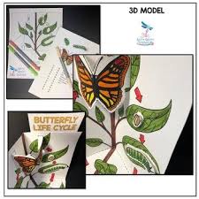 Butterfly Life Cycle Model 3d Model By Nitty Gritty Science Jr Teachers Pay Teachers Butterfly Life Cycle Life Cycles Next Generation Science Standards