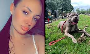 XL Bully: Latest news, views, photos and videos