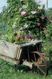 Maybe you would like to learn more about one of these? How To Propagate Clematis In Spring And Summer The Main Methods Of Reproduction Clematis Reproduction By Green Cuttings