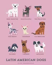 These spanish are divided into two; Latin Dog Names 175 Ideas Based On Hispanic Culture Food People