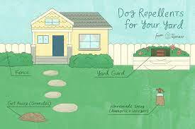 The vinegar will also get rid of the dog urine smell, so your lawn won't attract other dog visitors. How To Keep Dogs Away From Yards