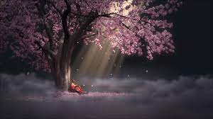 Sakura hd wallpapers, desktop and phone wallpapers. Sakura Baum Tapete Hd Animiertes Live Wallpaper 1920x1080 Wallpapertip
