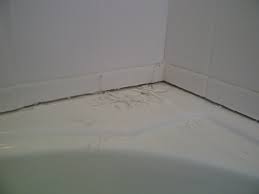 Using grout for bathtubs the joint around the bathtub where it meets the tile is a problem area. Is It Grout Or Caulking What Is The Difference The Fix It Lass