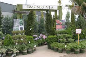 Tennessee wholesale nursery is a family operated business that was established in 1938, three generations later, we still strive to provide you with the best customer service available. Village Nurseries Landscaping Centers Wholesale Nursery