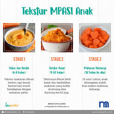 Saat si kecil berusia 9 bulan, secara otomatis tekstur asupan mpasi yang diberikan harus lebih kasar dari yang sebelumnya. View Tekstur Mpasi Bayi 9 Bulan Images Pbsafety