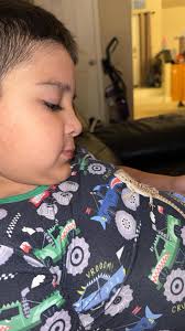 Can bearded dragons eat scrambled eggs?