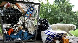 Block — do not allow the website to download files. Germany Moves To Reduce Plastic Pollution With Bag Ban From 2022 Cgtn