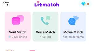Anda baru nak mula bisnes di facebook? Mengenal Litmatch Aplikasi Buat Cepat Dapat Teman Chat Baru Pikiran Rakyat Com