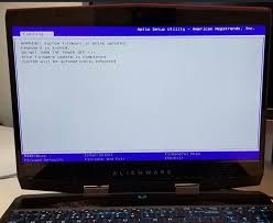 It seems to work fairly well but i'd like access to more bios settings. System Freezes During Bios Update On Alienware M15 M17 Dell Us