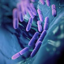 Probiotics: Usefulness and Safety | NCCIH