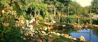 Explore our excellent selection of pond liners & much more. Building Ponds Talking Liners The Permaculture Research Institute