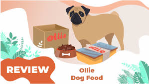 Popular dog website the canine overall though, the farmer's dog reviews seem overwhelmingly positive. Unbiased Ollie Dog Food Review 2021 Pup Junkies