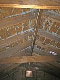 You can sometimes smell it more in one room or part of the house than in others. Preventing And Treating An Attic Mold Problem In Nj News And Events For Mold Solutions By Cowleys