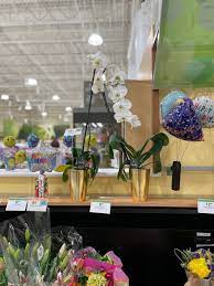 We did not find results for: 7 Tips For Buying Plants And Flowers At The Grocery Store Kitchn