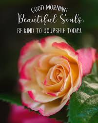 Check spelling or type a new query. Good Morning Beautiful Souls Photograph By Teresa Wilson