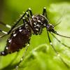 Offering affordable and reliable home pest control services to columbia, charleston, greenville, and surrounding south carolina regions for over 55 we have been serving south carolina for more than 55 years with environmentally friendly home pest control solutions for bed bugs, roaches, ants. 1