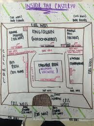 About animal cell usually have an. Analogy Of A Cell Cell Analogy Cells Project Analogy