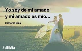 Versiculos Biblicos Sobre El Amor 93 Citas De Amor Con Imagenes Su Biblia En 2020 Versiculos Biblicos Biblicos Citas De Amor
