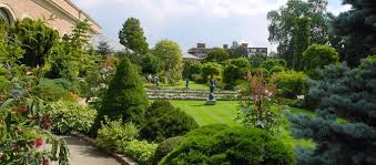 Le jardin botanique de Louvain - Haricot Princesse