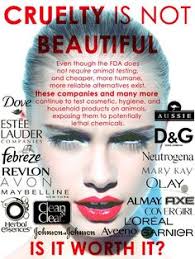 Maybe you would like to learn more about one of these? Animals Used For Testing
