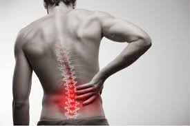 They start at the top of the neck and go down to the tailbone. Understanding Lower Back Pain Causes Impact Physical Therapy