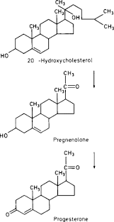 Image result for Progesterone