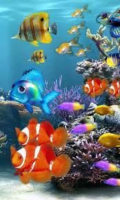 Also check more recent version in history! Download Live Aquarium Wallpaper For Mobile Gallery Live Fish Wallpaper Fish Wallpaper Fish Wallpaper Iphone