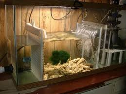 Diy Saltwater Aquarium Sump Aquarium Sump Saltwater Aquarium Aquarium Fish Tank