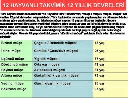 12 Hayvanli Turk Takvimi Zamana Ve Insana Hukmetmek Turkler Kitap Okuma Kitap