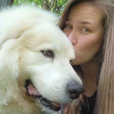 What are good dog grooming recommendations for a nine year old Golden?