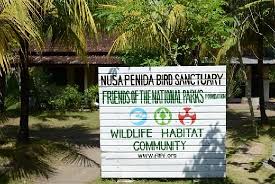 Pin On Inspiring Bali Activists