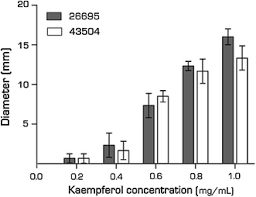 Antibacterial Effect Of Kaempferol And Epicatechin On Helicobacter Pylori Springerlink