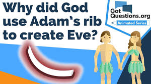 You're confused with the nephilim who were the giants. Why Did God Use Adam S Rib To Create Eve Gotquestions Org