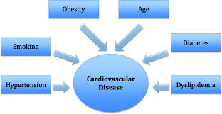 Erek kerek is on facebook. Oxidative Stress And Cardiovascular Health Therapeutic Potential Of Polyphenols