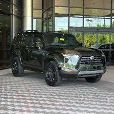 Image result for Nori Green 2024 LC