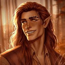 Heeft iemand The Zodiac Academy gelezen? : r/acotar