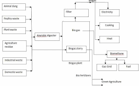 Biogas Production Process Working Principles Plant Cost
