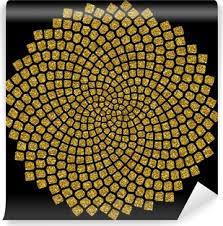 Sonnenblumen Samen Fibonacci Spirale Goldener Schnitt Throw Pillow Pixers We Live To Change