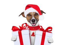 Santa Paws is Coming To Town with Bentley's Pet Stuff Donation Drive  November 15th