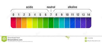 Ph Value Scale Chart Stock Vector Illustration Of Chart