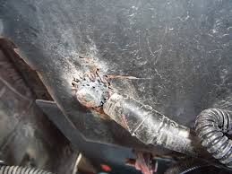 Where is the fuse block on 2019 fleetwood disocvery. Lost Ground Connections Motorhome Magazine