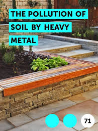 Learn The Pollution Of Soil By Heavy Metal How To Guides Tips And Tricks San Pedro Cacti Plants Lavender Plant
