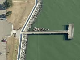 We did not find results for: Where To Catch Fish In Hampton Virginia Saltwater Fishing Piers