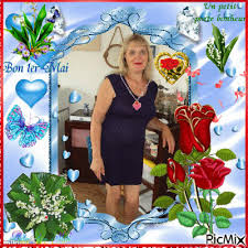 1 bouquet rond rose fleur muguet rouge blanc 23456 1 images 1. Muguet Porte Bonheur Picmix