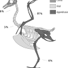Belon published la nature and diuersite des poissons in 1551. Https Encrypted Tbn0 Gstatic Com Images Q Tbn And9gcthqn4ga5ognlpqwt156keypgsegu6tskcpwpmve9jkl0tp5xb Usqp Cau