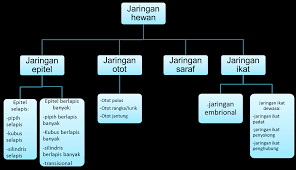 Documents similar to sistem saraf pada manusia. Http Repository Unpas Ac Id 31147 6 Bab 20ii Pdf